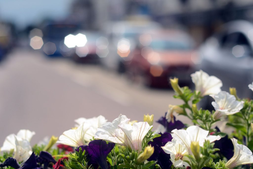 Honiton High Street flowers and out of focus traffic